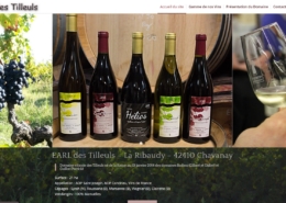 Domaine viticole EARL les Tilleuls Projet réalisé par l'agence Web & Digital ARTWYS (Valence)